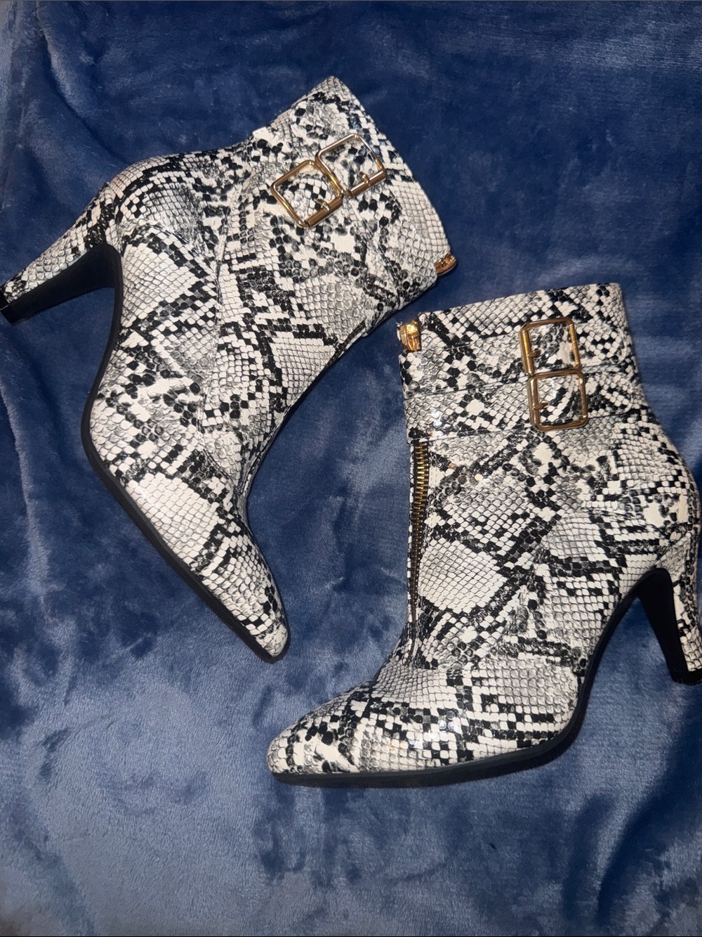 Pointed-Toe Snake-Print Ankle Boots in Black and White